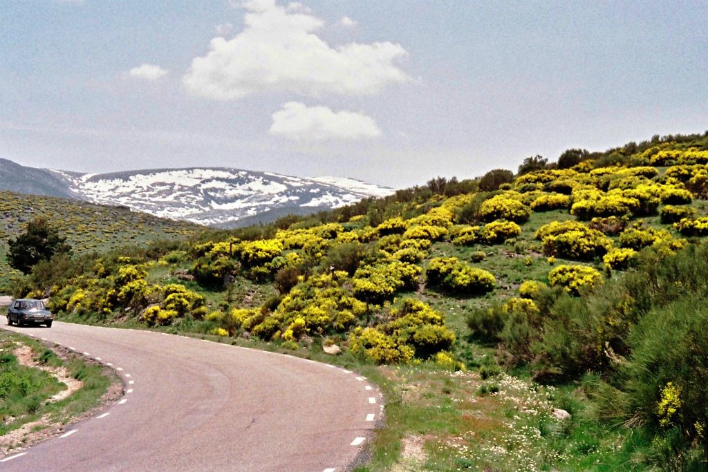 Fahrt zum Gredos Gebierge 