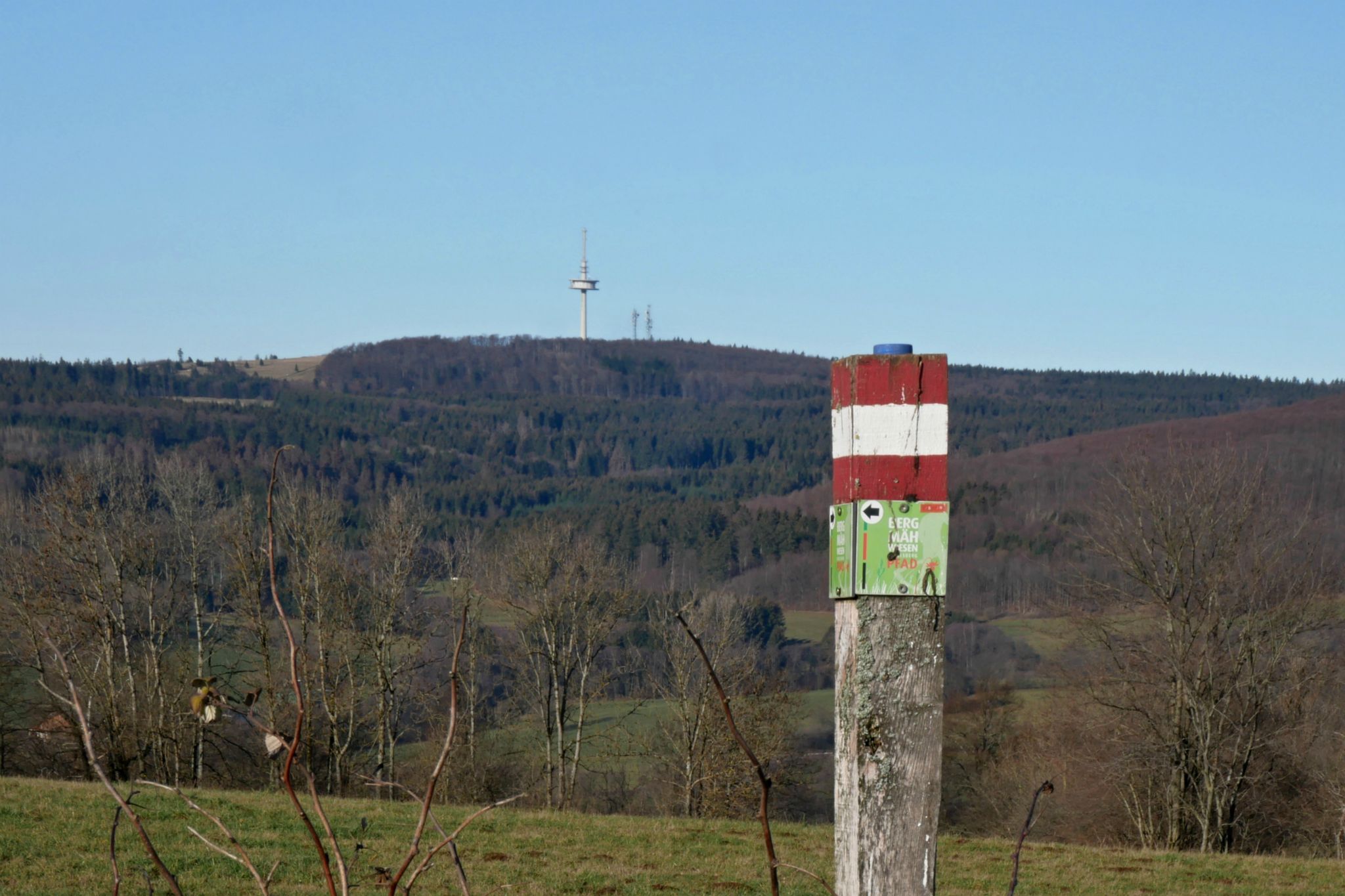 Hoherodskopf