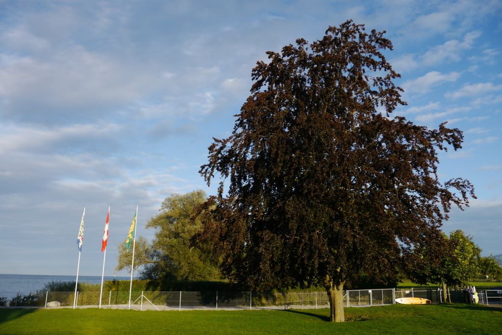 Campingplatz "Seehorn" in Wiedehorn