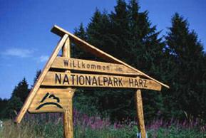 Nationalpark Harz