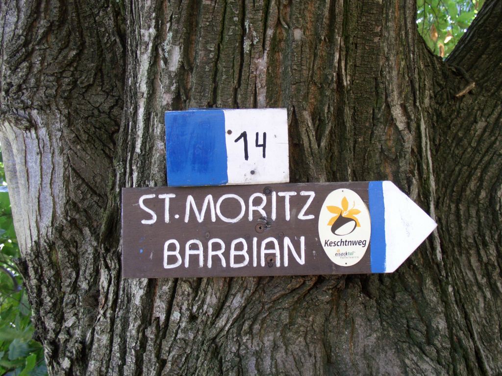 Babian ist nicht mehr weit