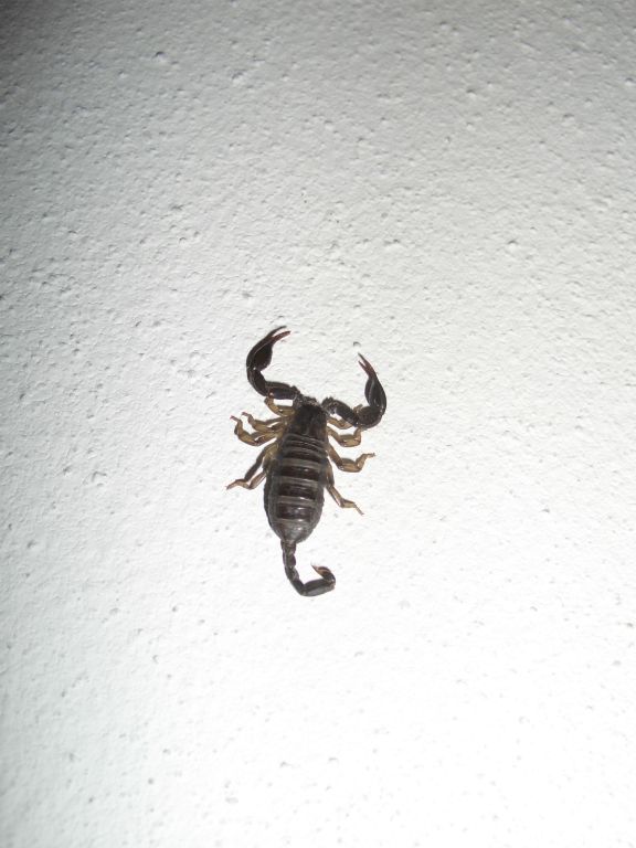 Schreck am Abend im Hotelzimmer