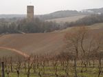 Ruine Scharfenstein