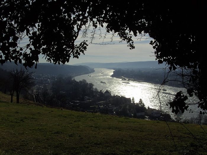 Rheinblick