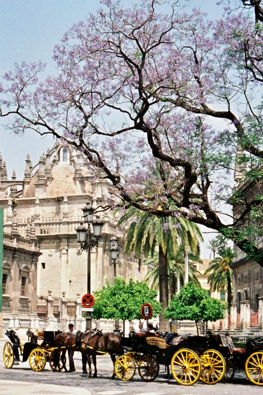 Sevilla