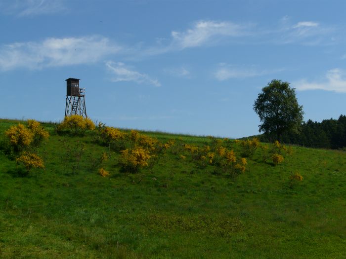 Jägerstand am WWSTG